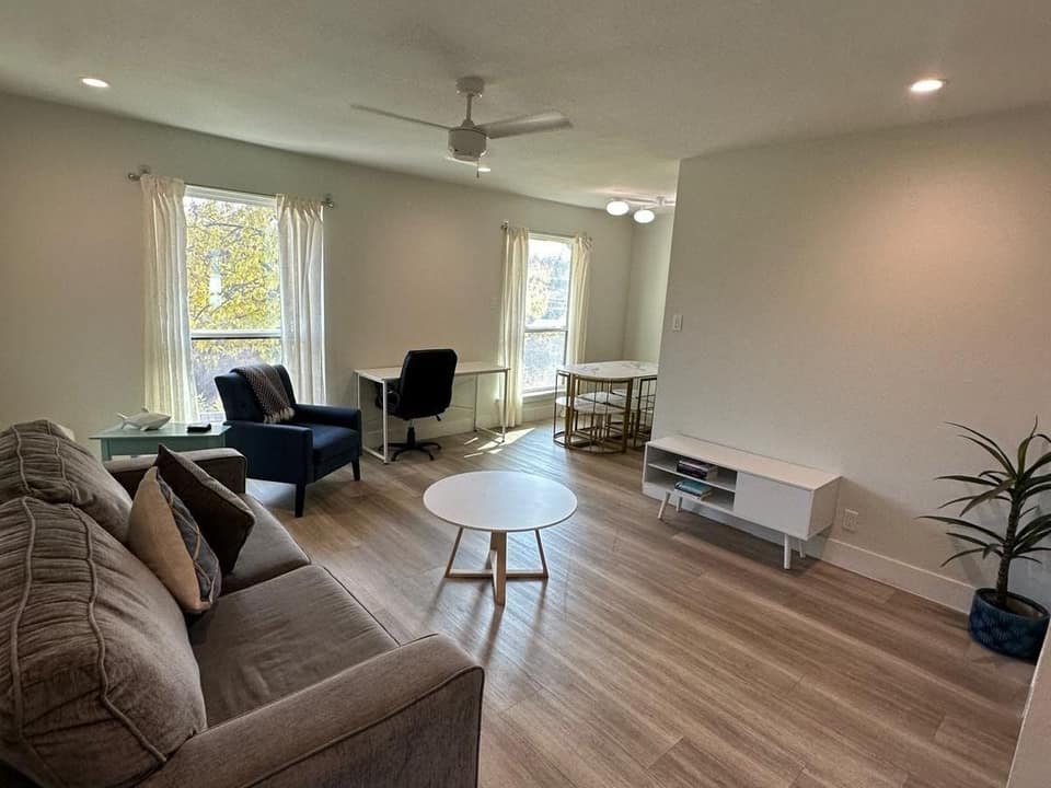 Bright, tidy living room with a sofa and houseplant, cleaned and staged between guests